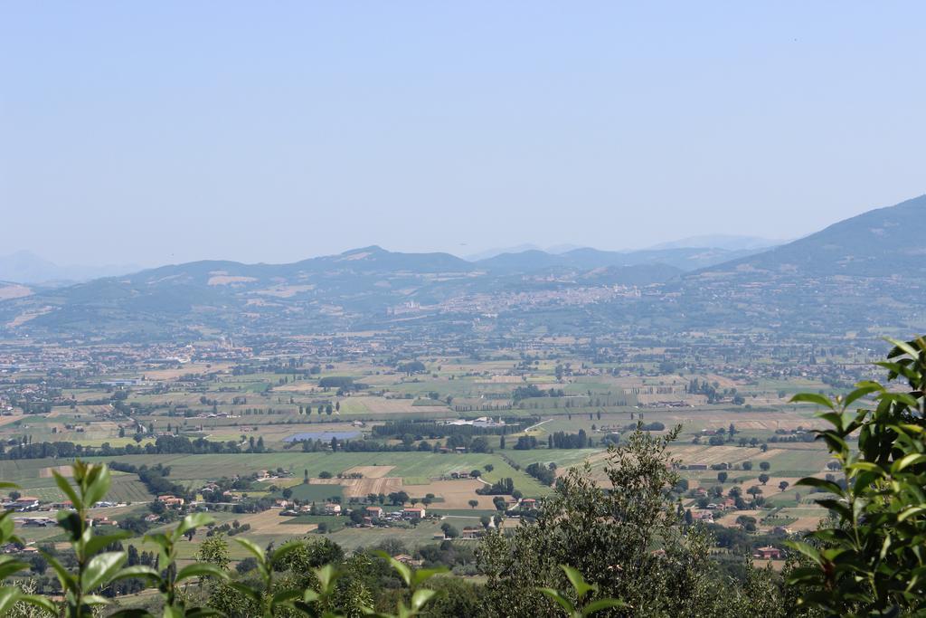 Villa Societa Agricola F.Lli Angelucci Cannara Exterior foto